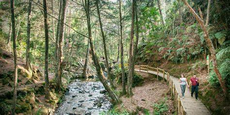 El Parque Arví, naturaleza en plena ciudad.