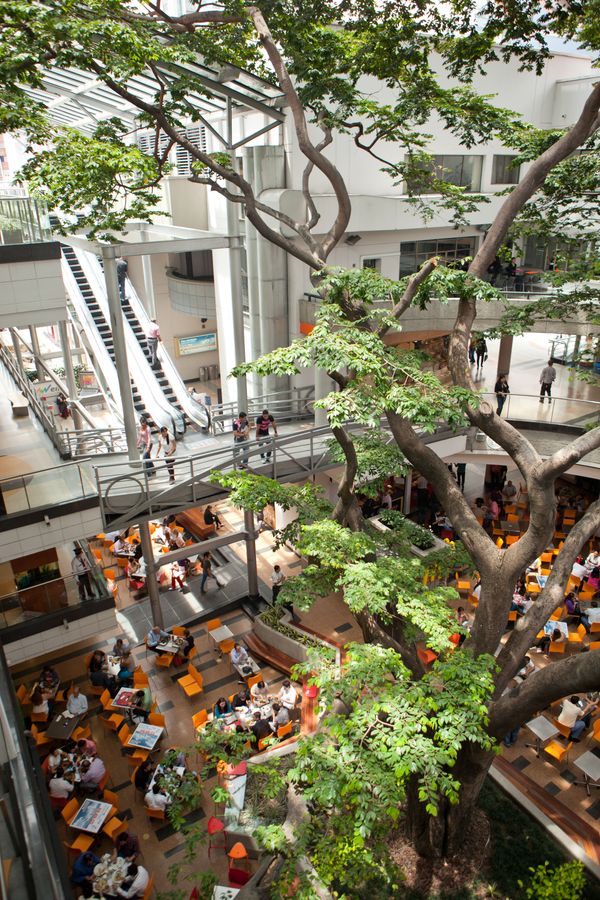 Centro comercial Oviedo.